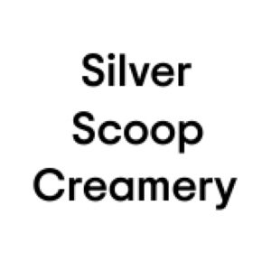 silver scoop